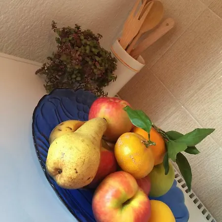 Guest house Jusup 3*